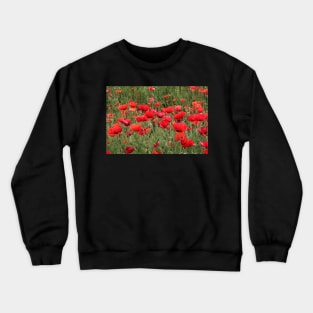 Poppy community,  a family Crewneck Sweatshirt